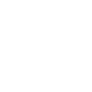 icon-transportation-white-RGB-300x300